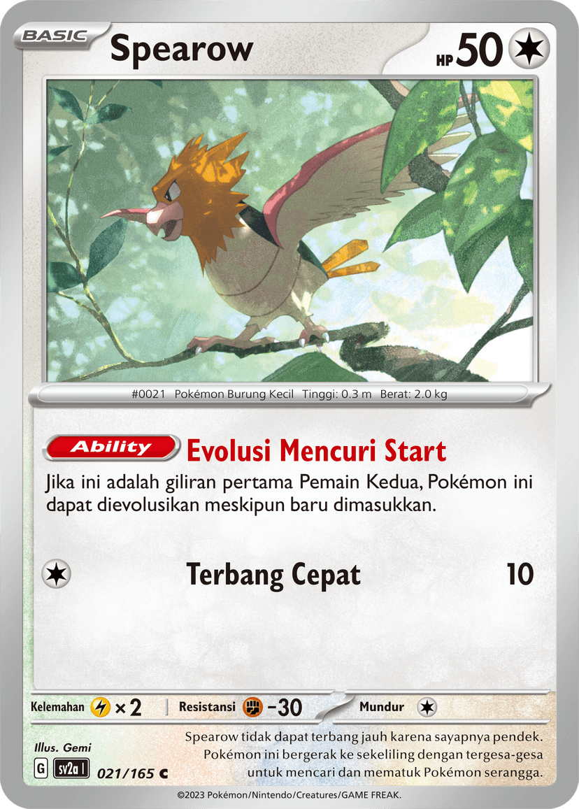Spearow