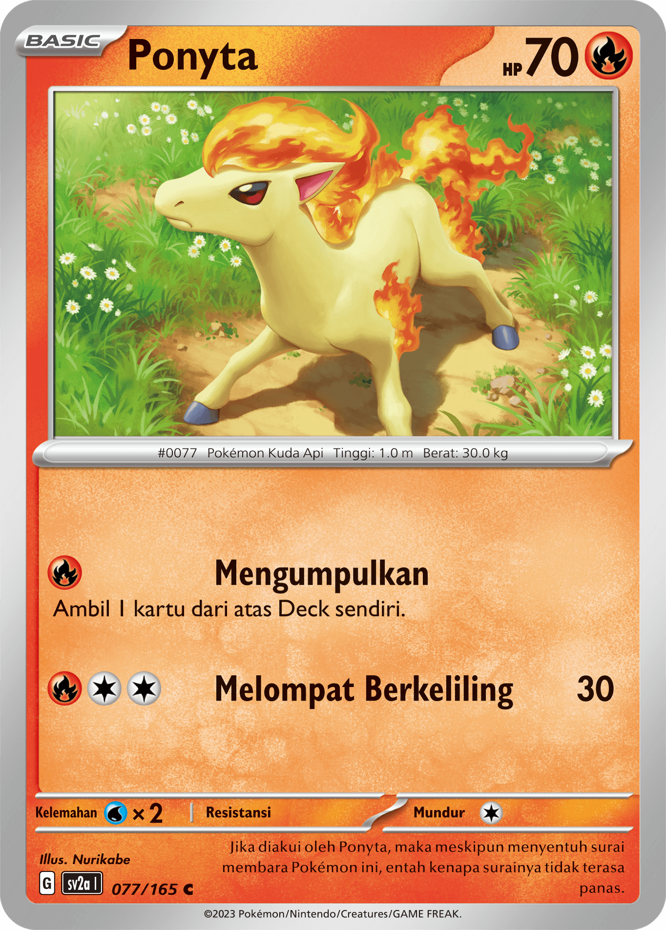 Ponyta