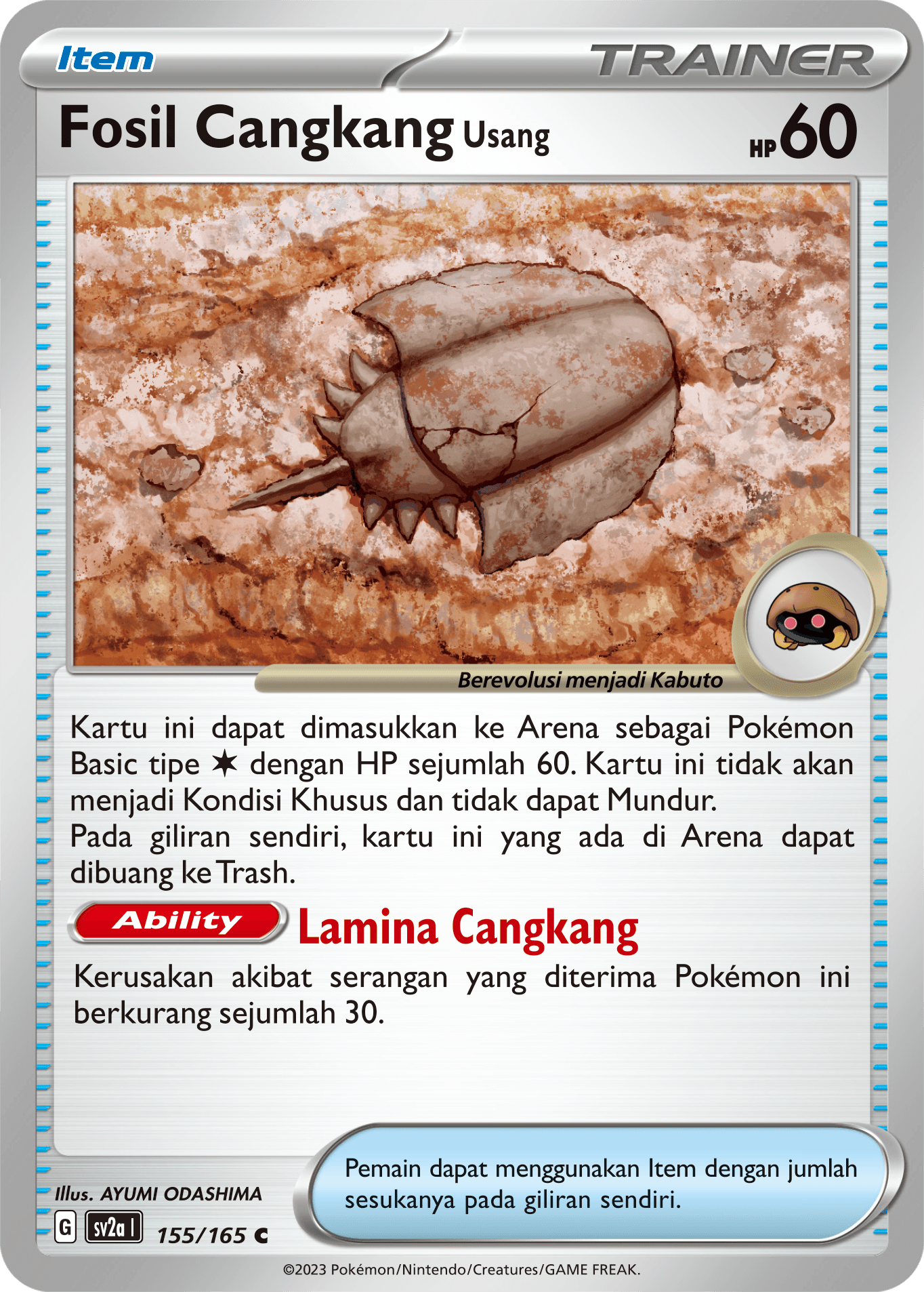 Fosil Cangkang Usang