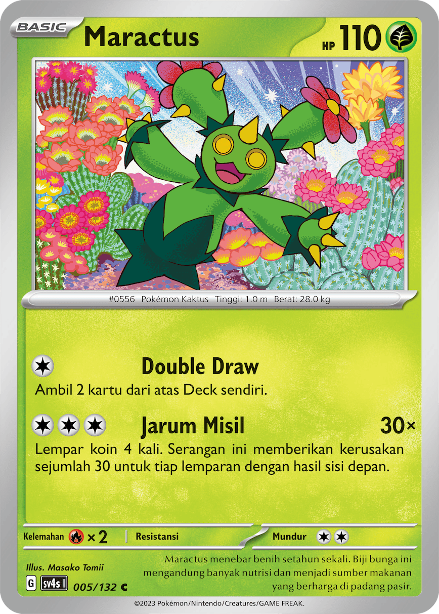 Maractus