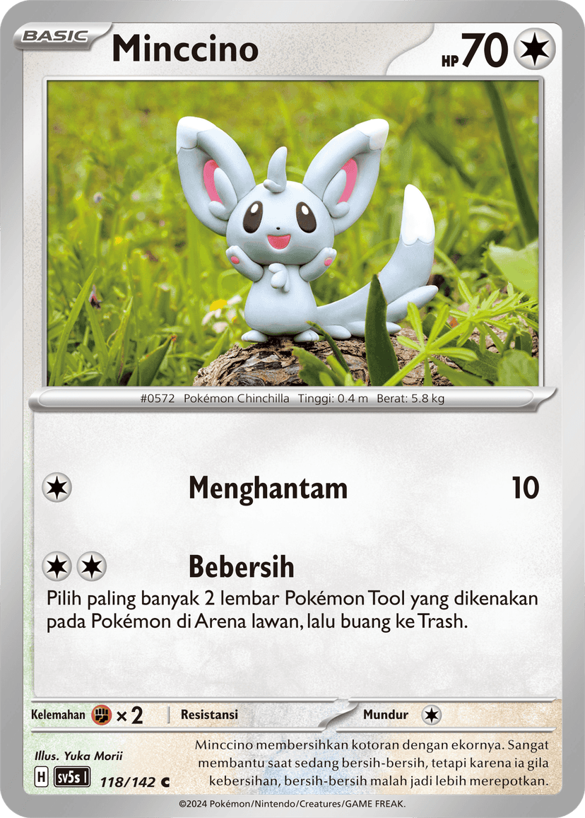 Minccino