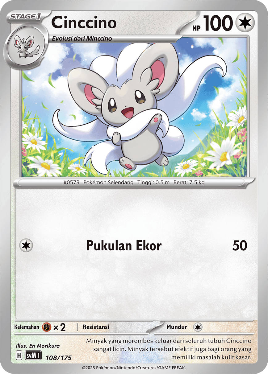 Cinccino
