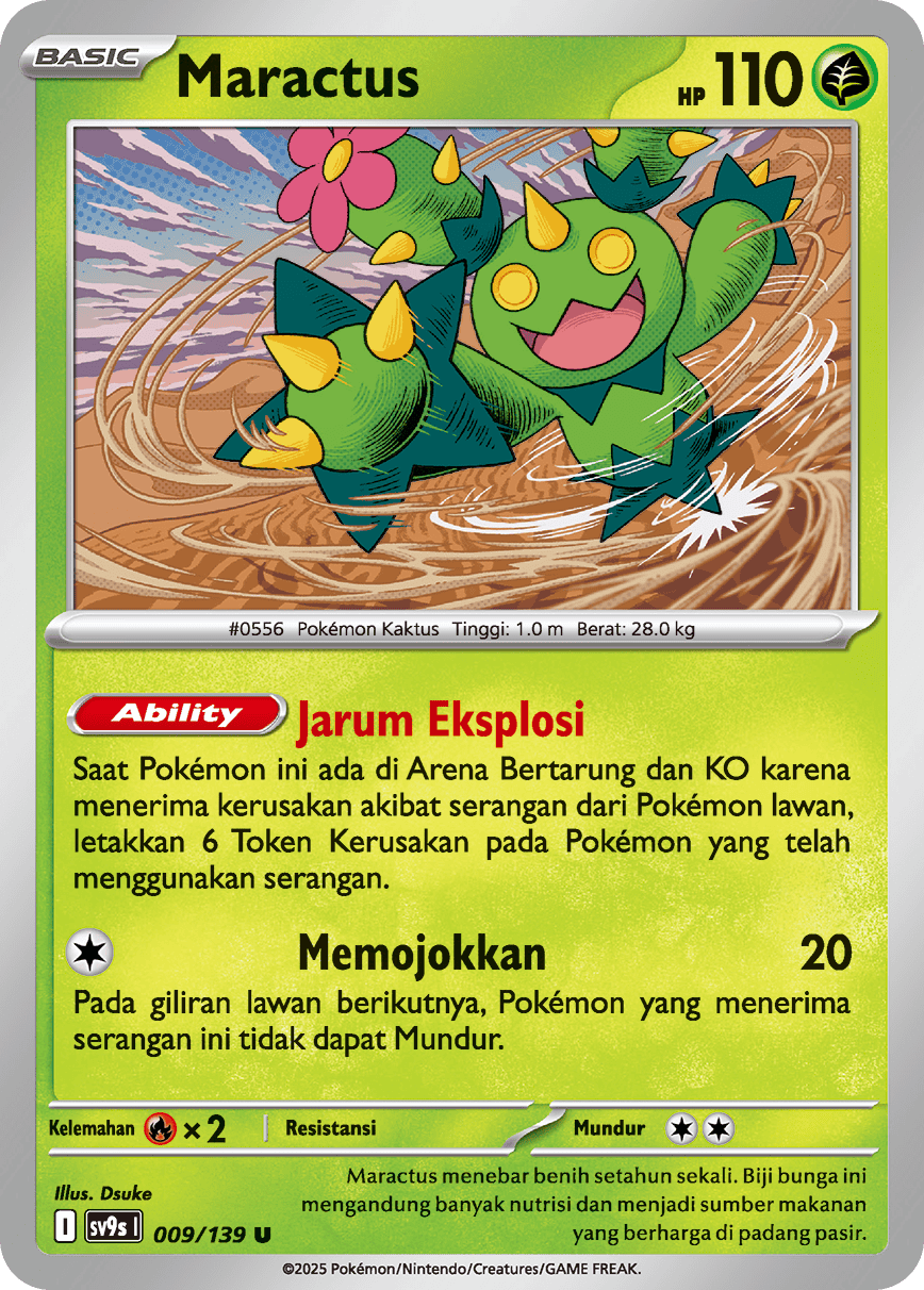 Maractus