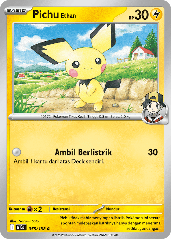 Pichu <Ethan>