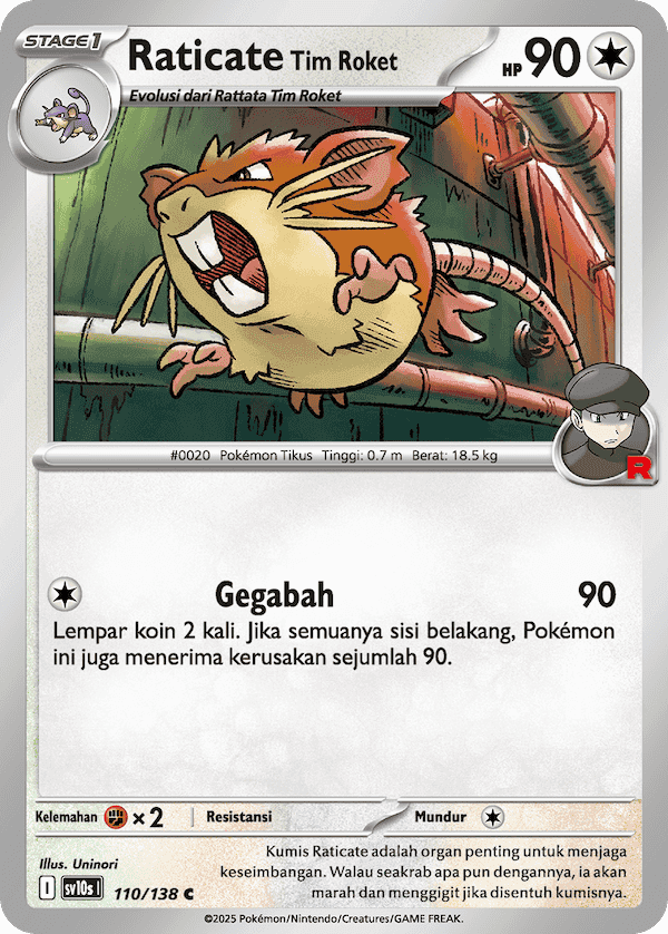 Raticate <Tim Roket>