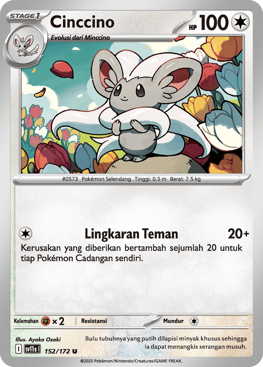 Cinccino