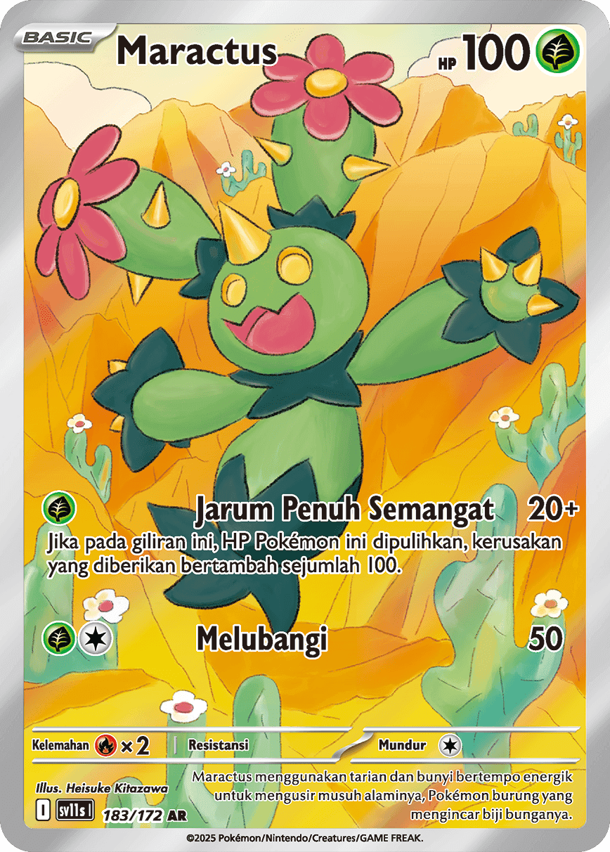 Maractus