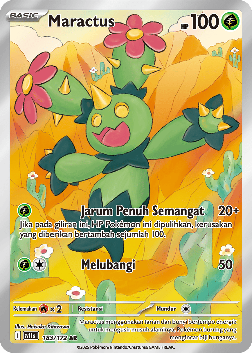 Maractus
