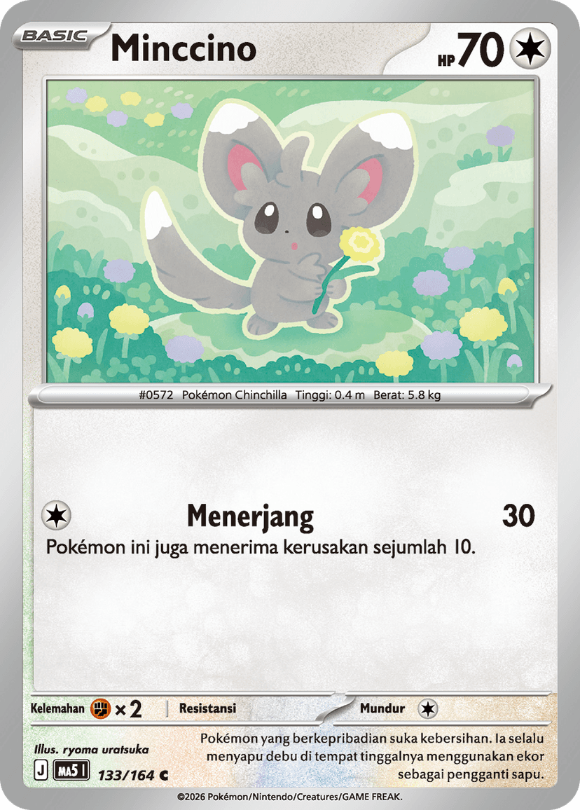 Minccino