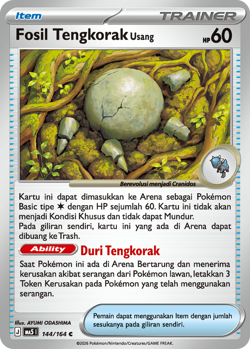 Fosil Tengkorak Usang