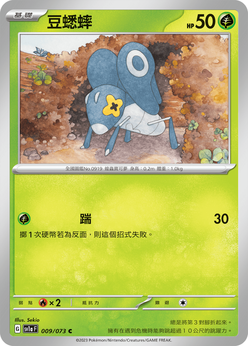 豆蟋蟀