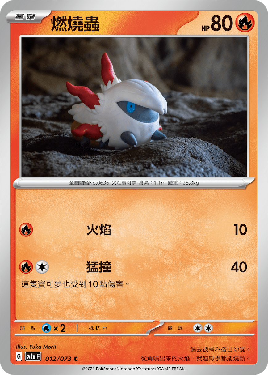 燃燒蟲