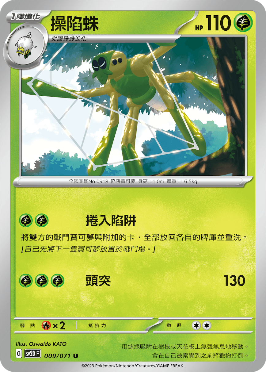 操陷蛛