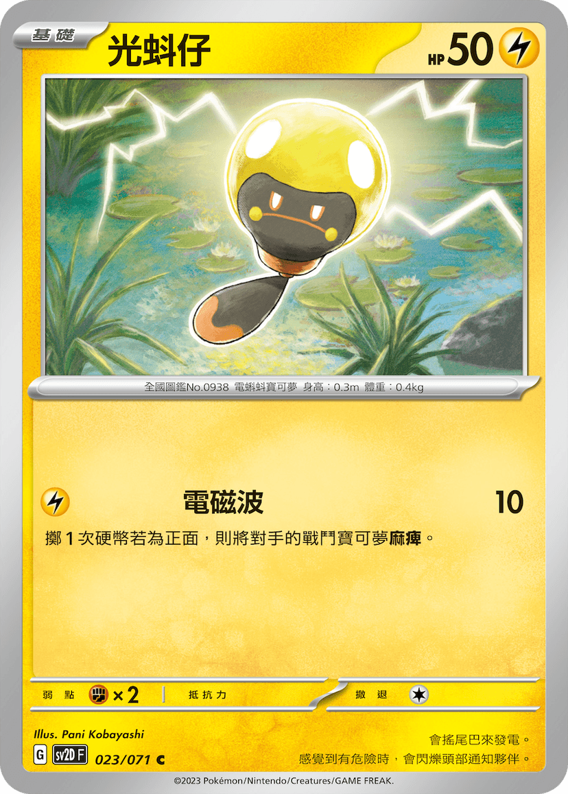 光蚪仔