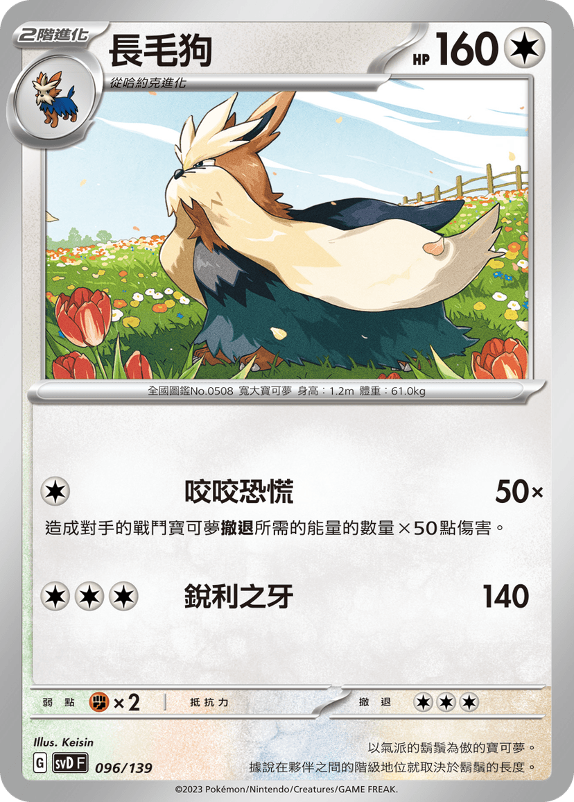 長毛狗