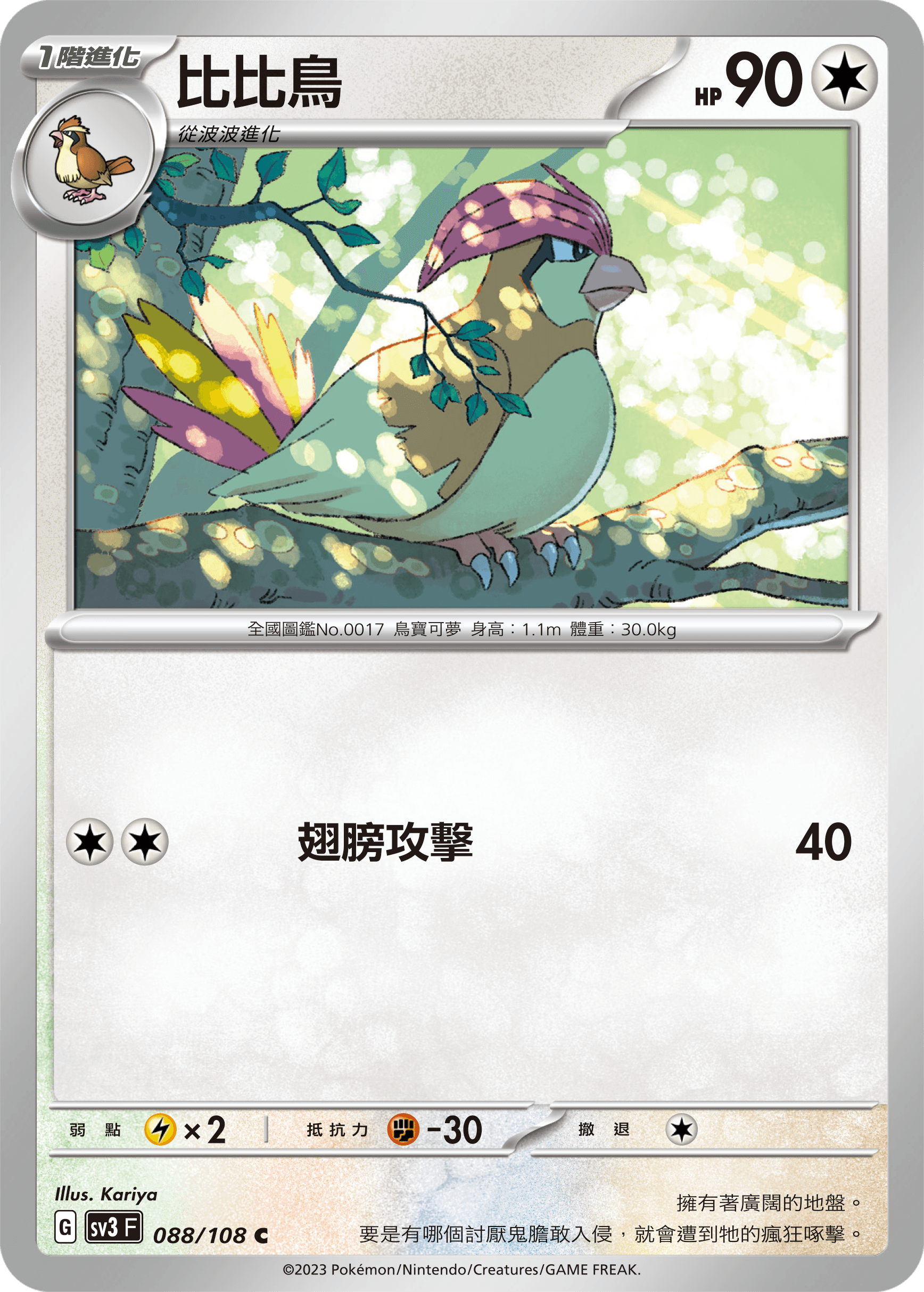 比比鳥