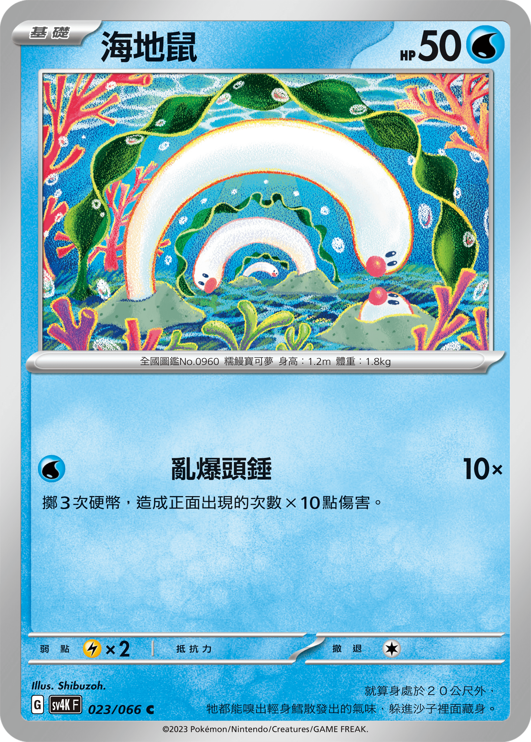 海地鼠