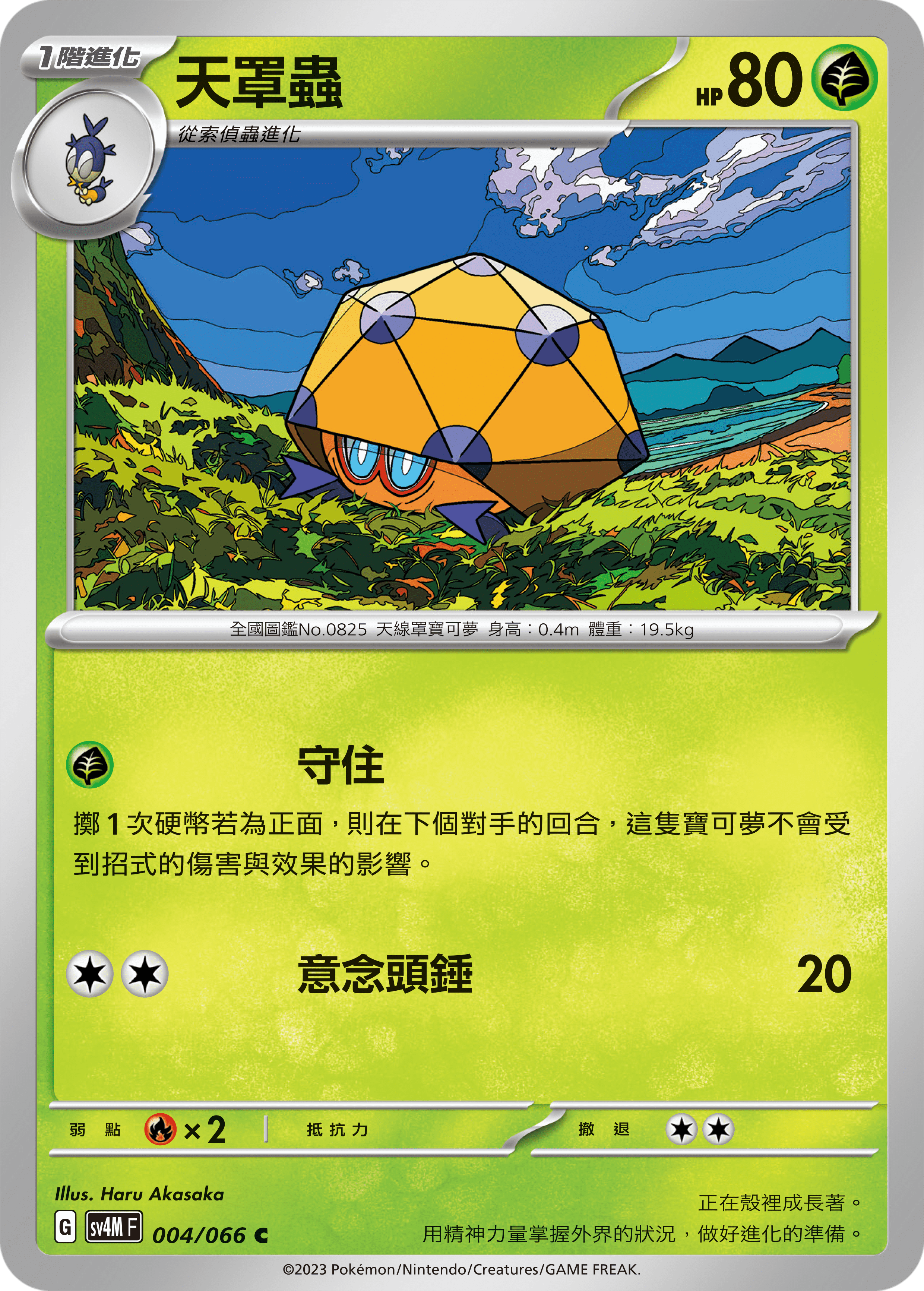 天罩蟲