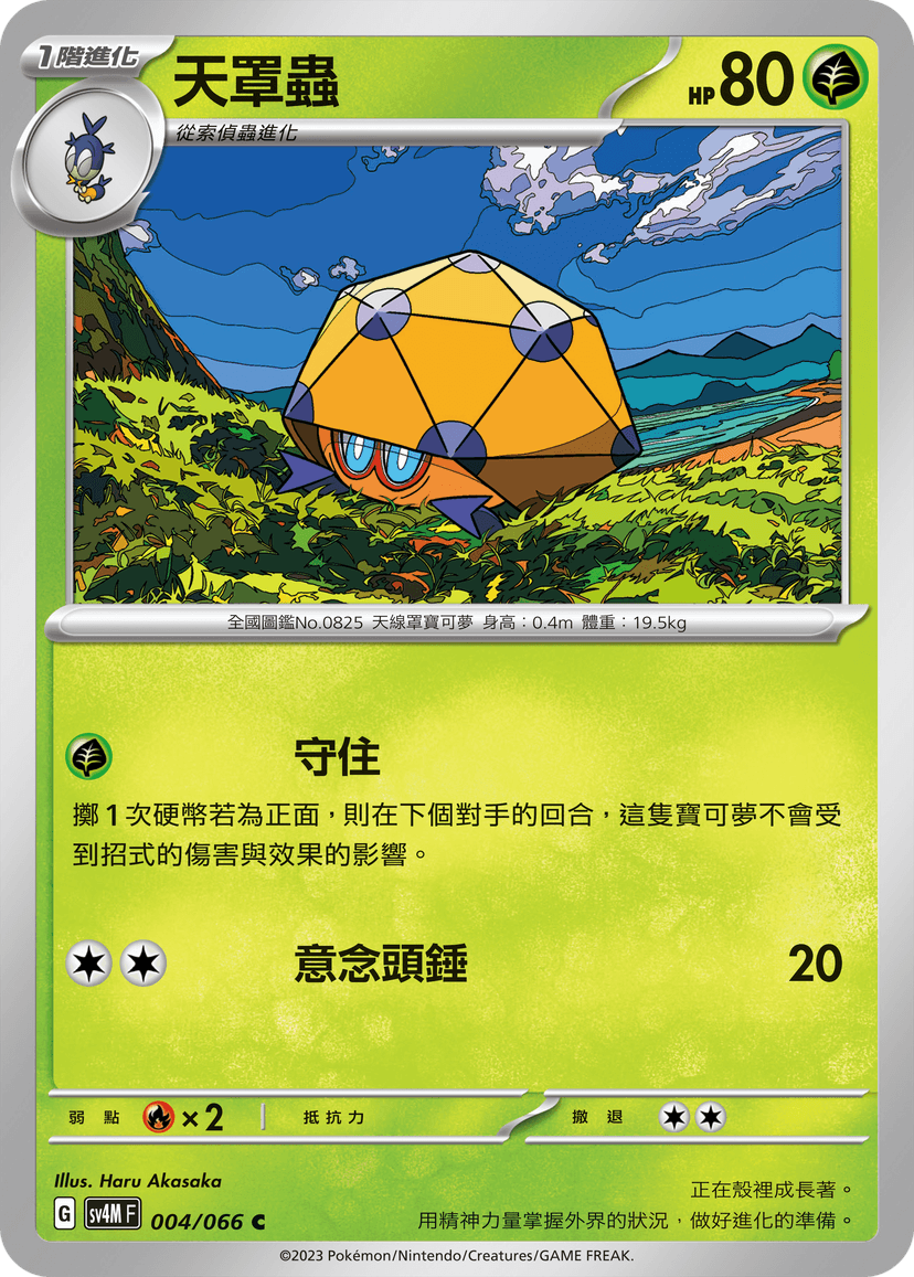 天罩蟲