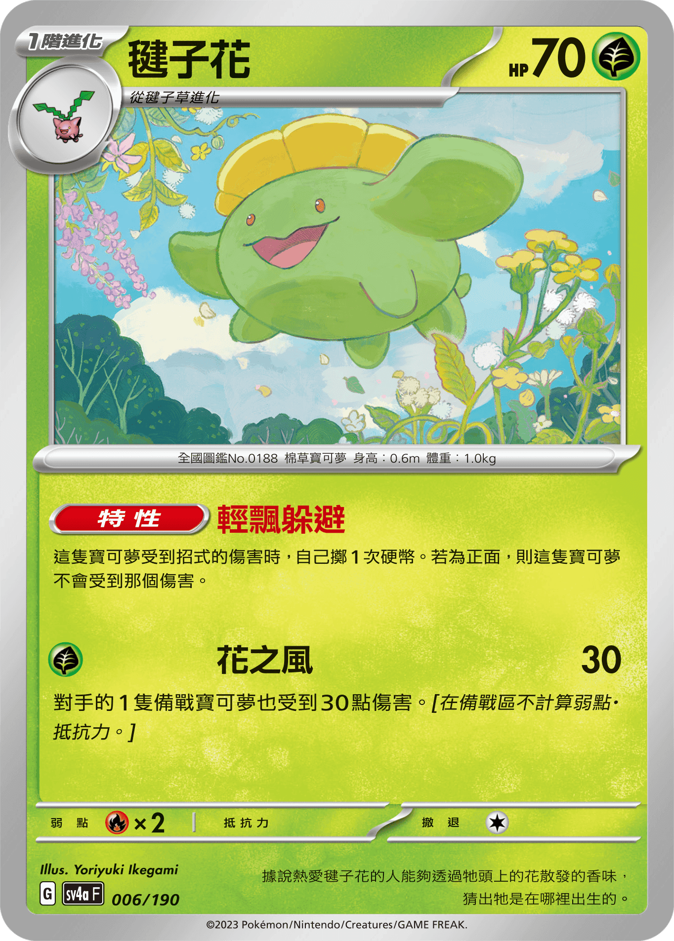 毽子花