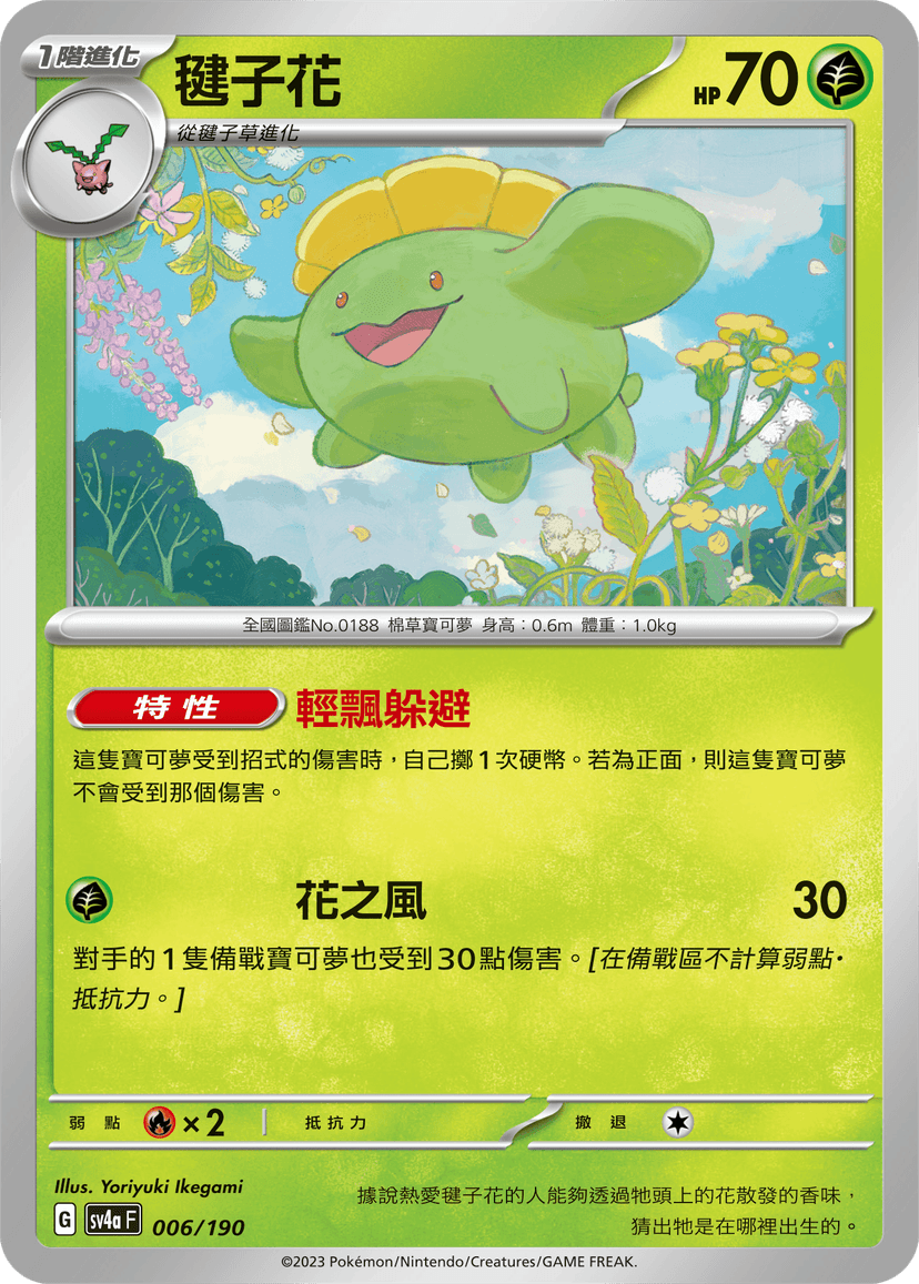 毽子花