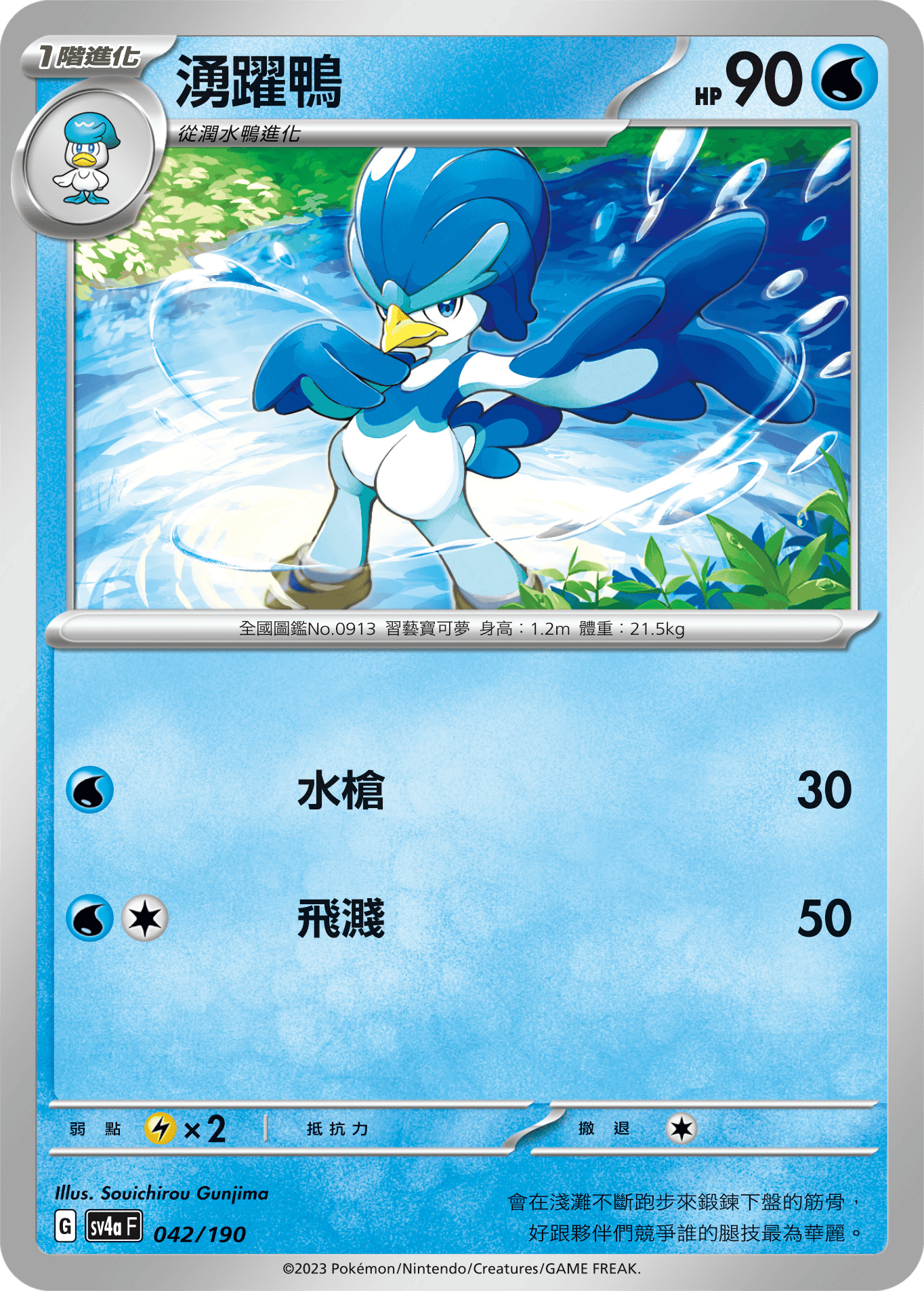 湧躍鴨