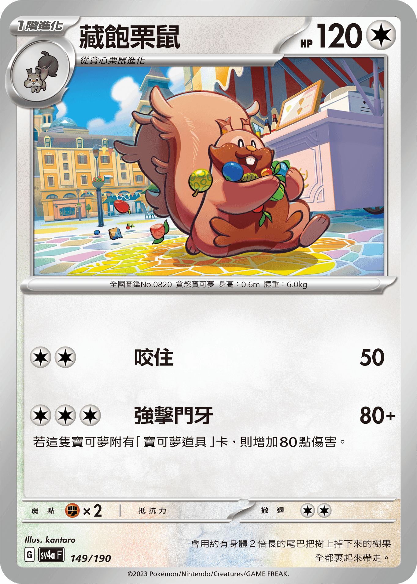 藏飽栗鼠