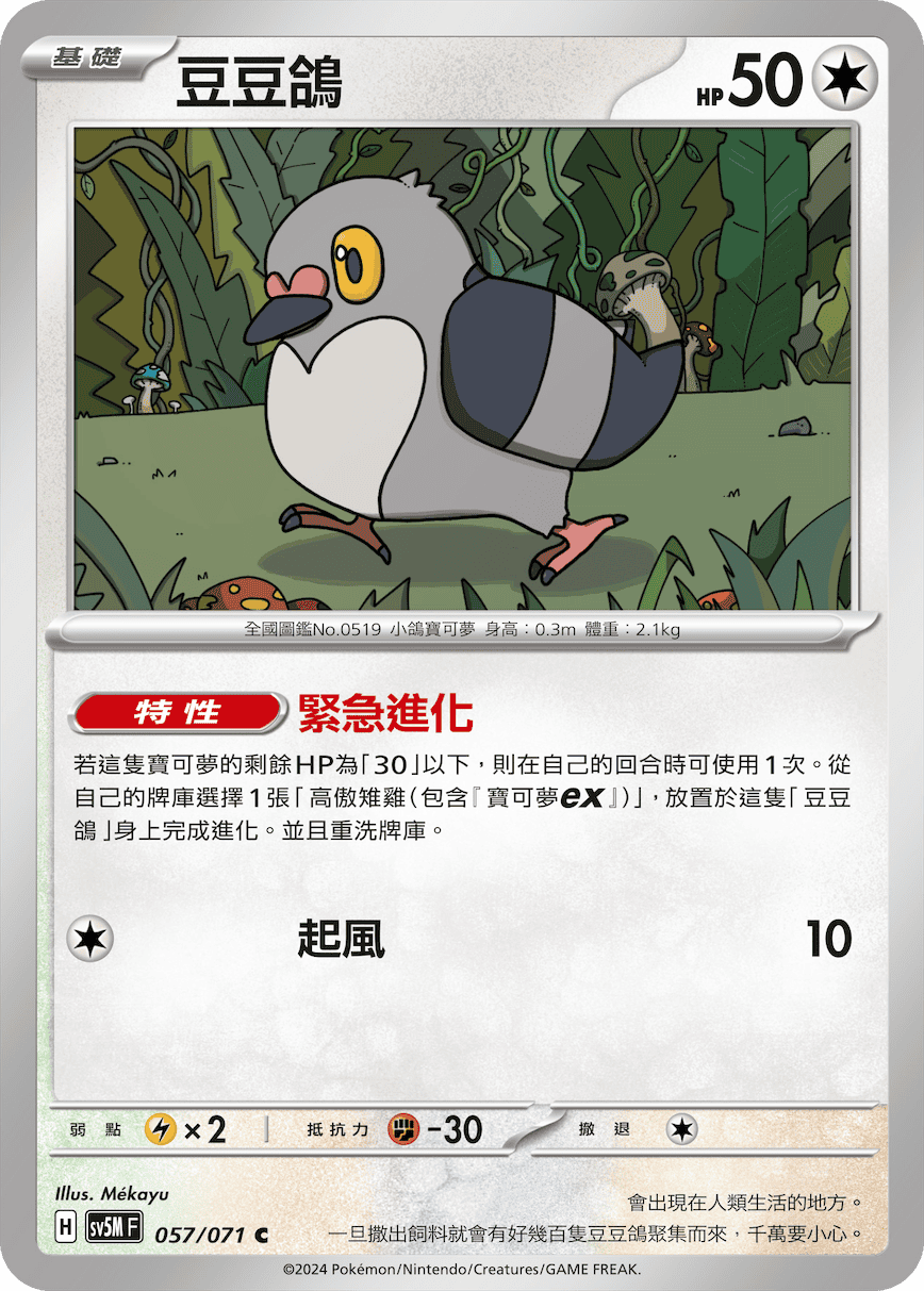 豆豆鴿