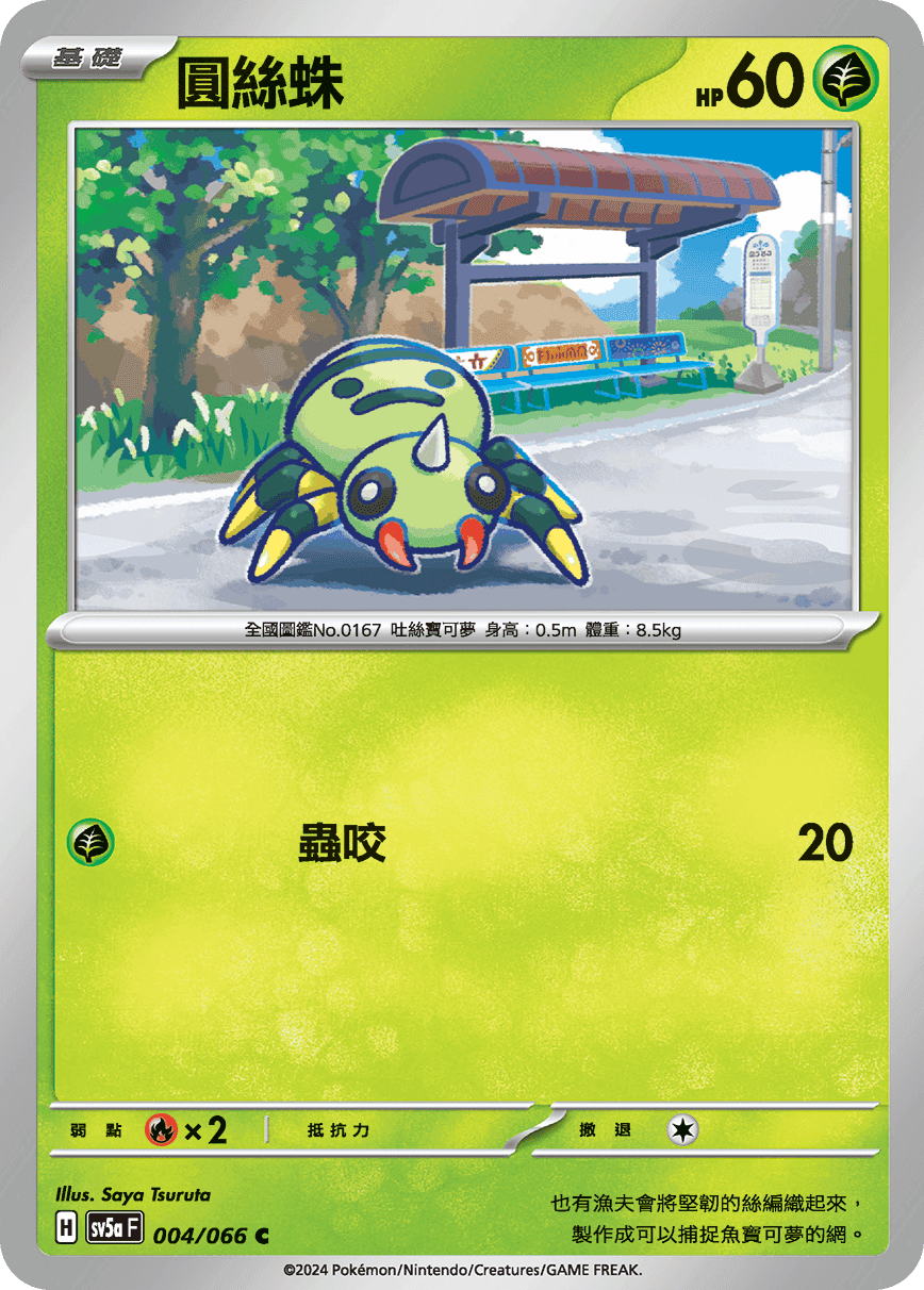 圓絲蛛