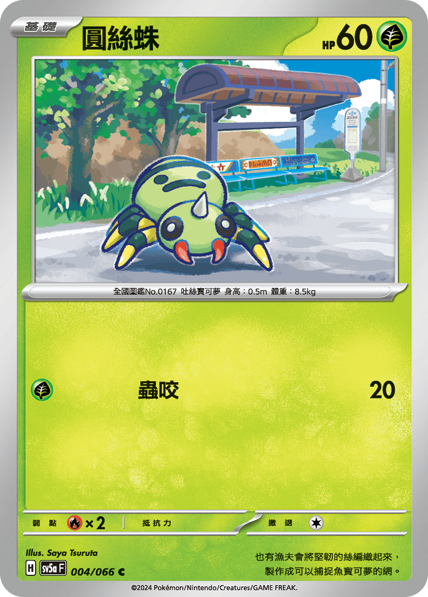 圓絲蛛
