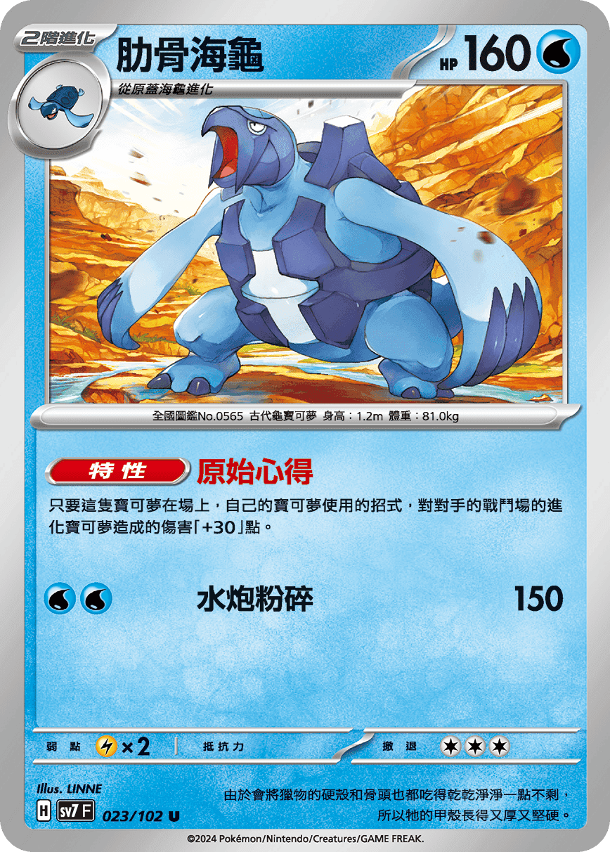 肋骨海龜