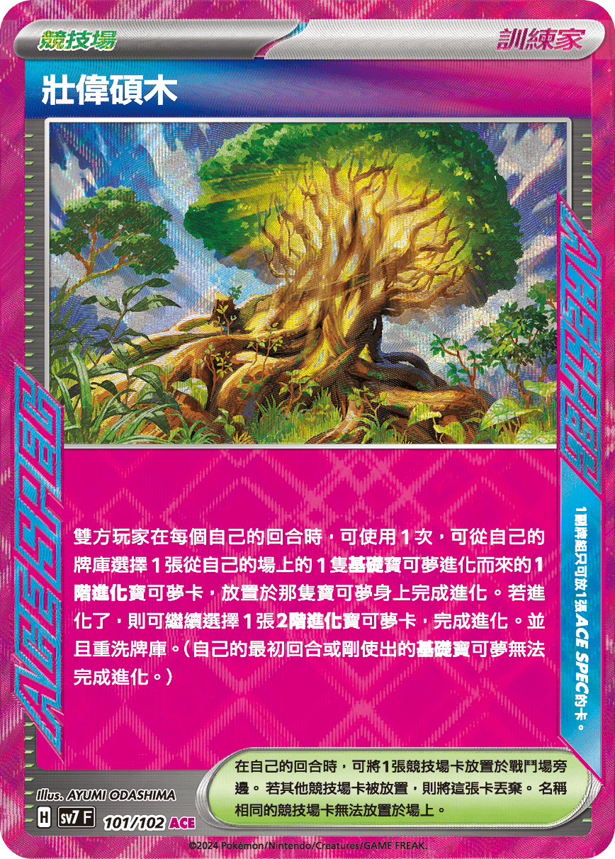 壯偉碩木