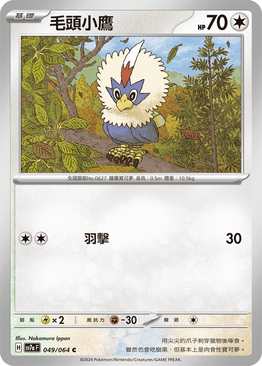 毛頭小鷹