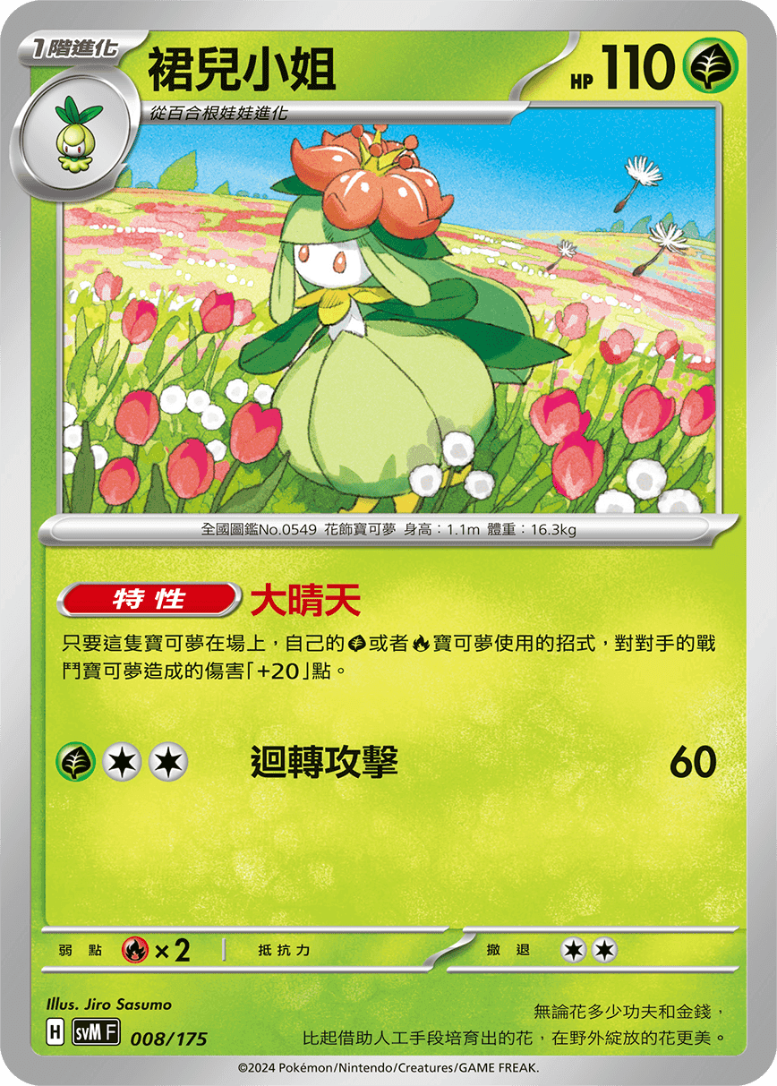 裙兒小姐