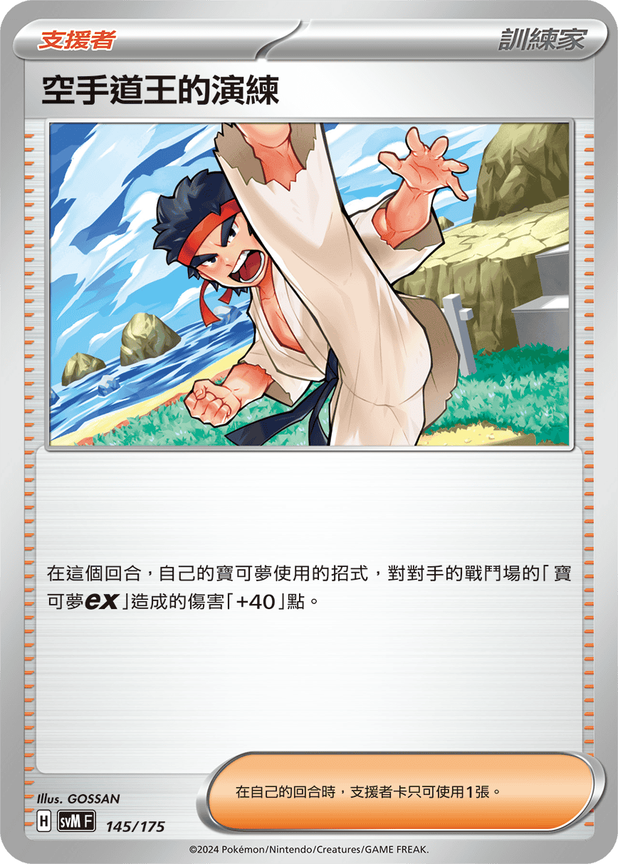 空手道王的演練