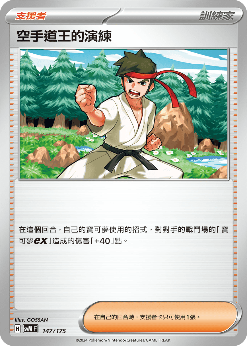 空手道王的演練