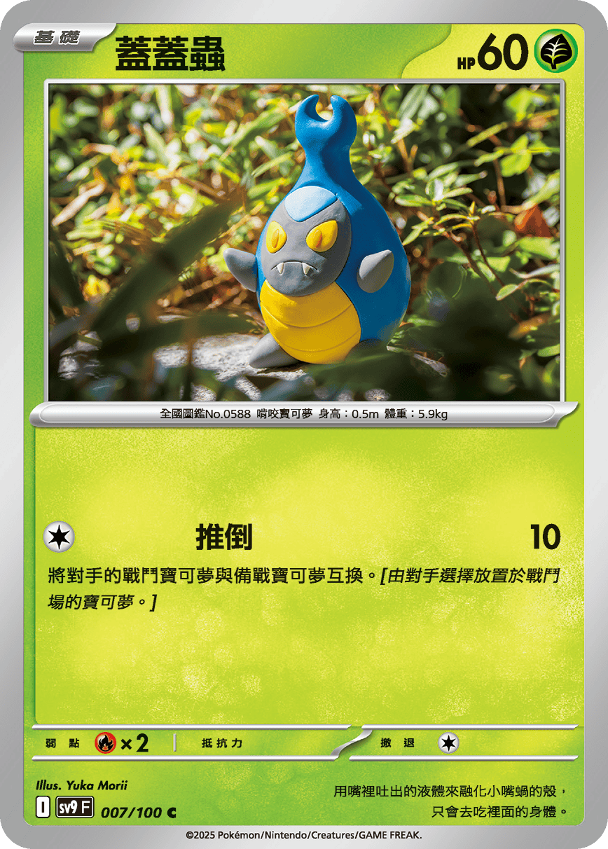 蓋蓋蟲