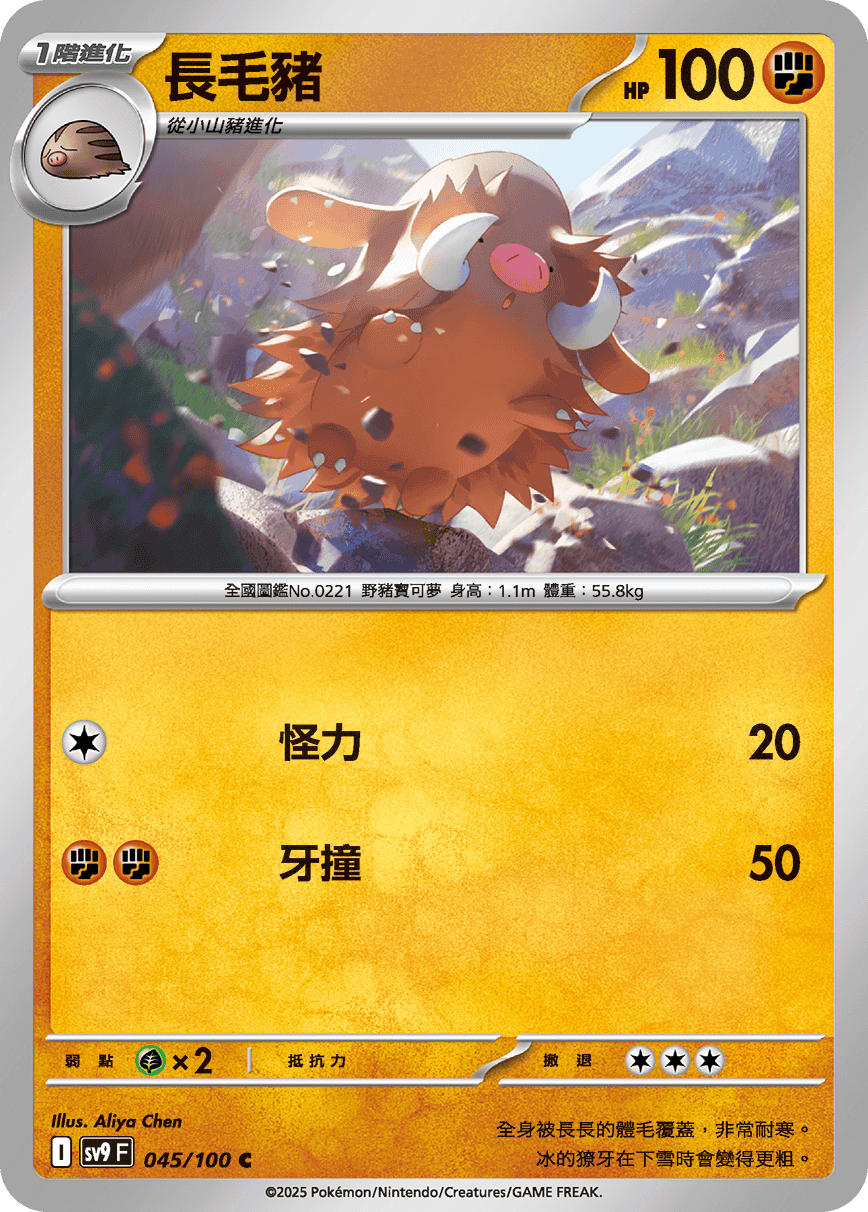 長毛豬