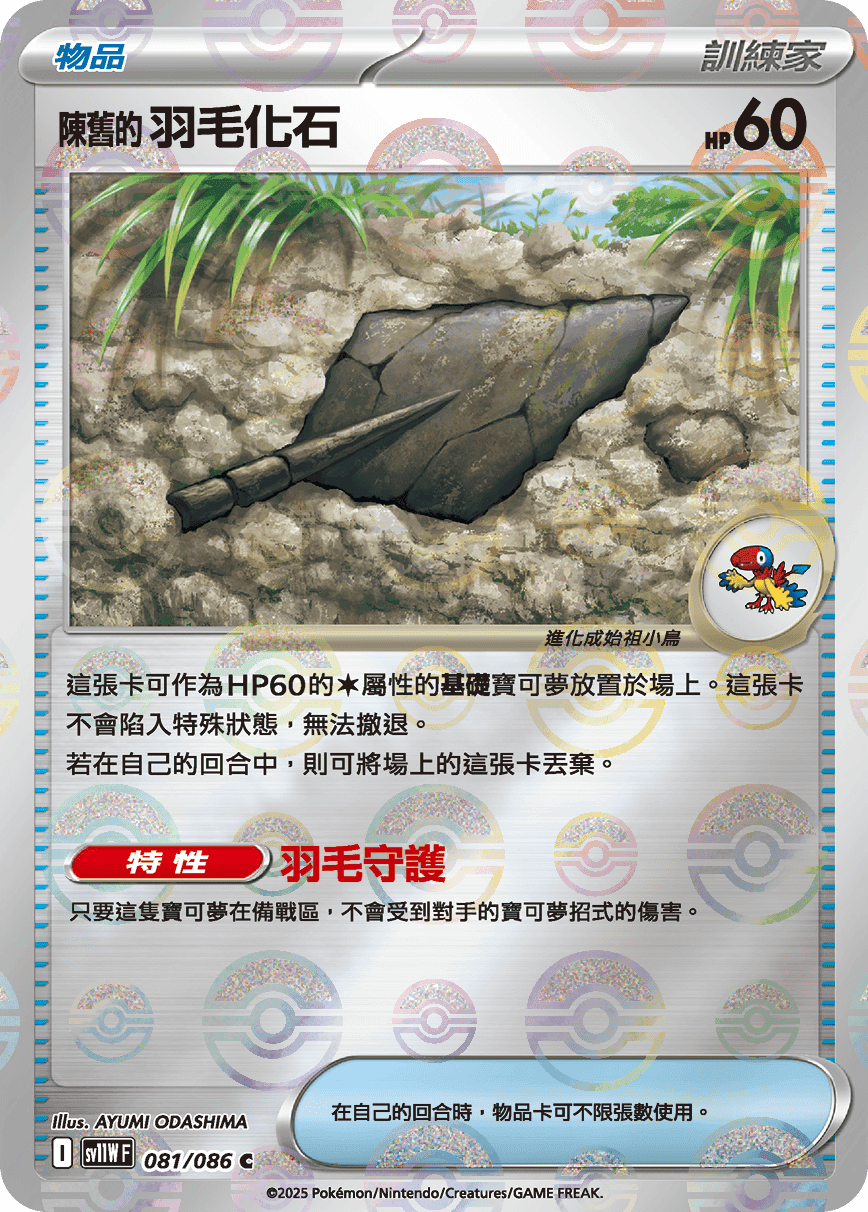 陳舊的羽毛化石