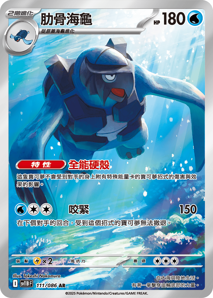 肋骨海龜
