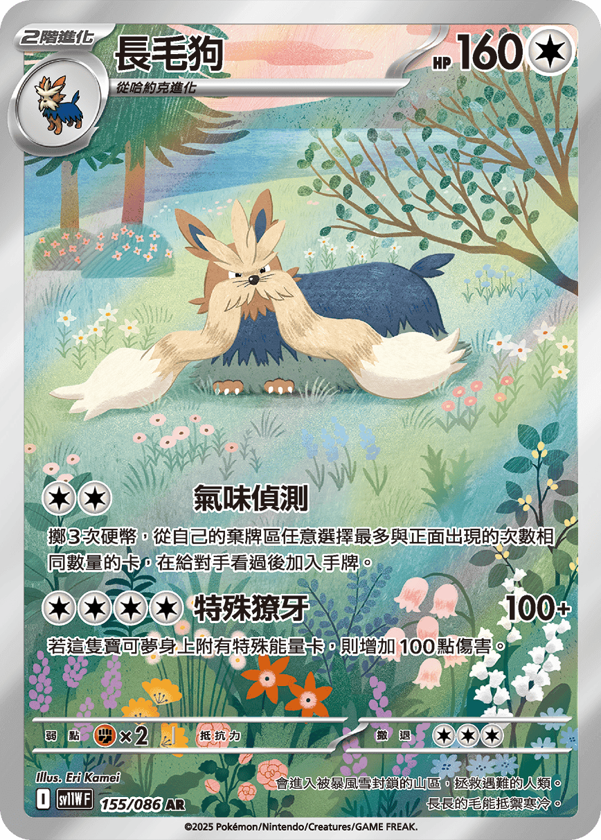 長毛狗