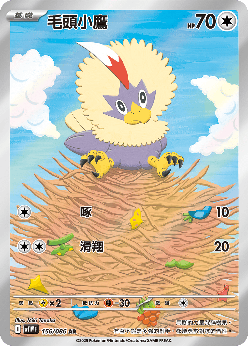 毛頭小鷹