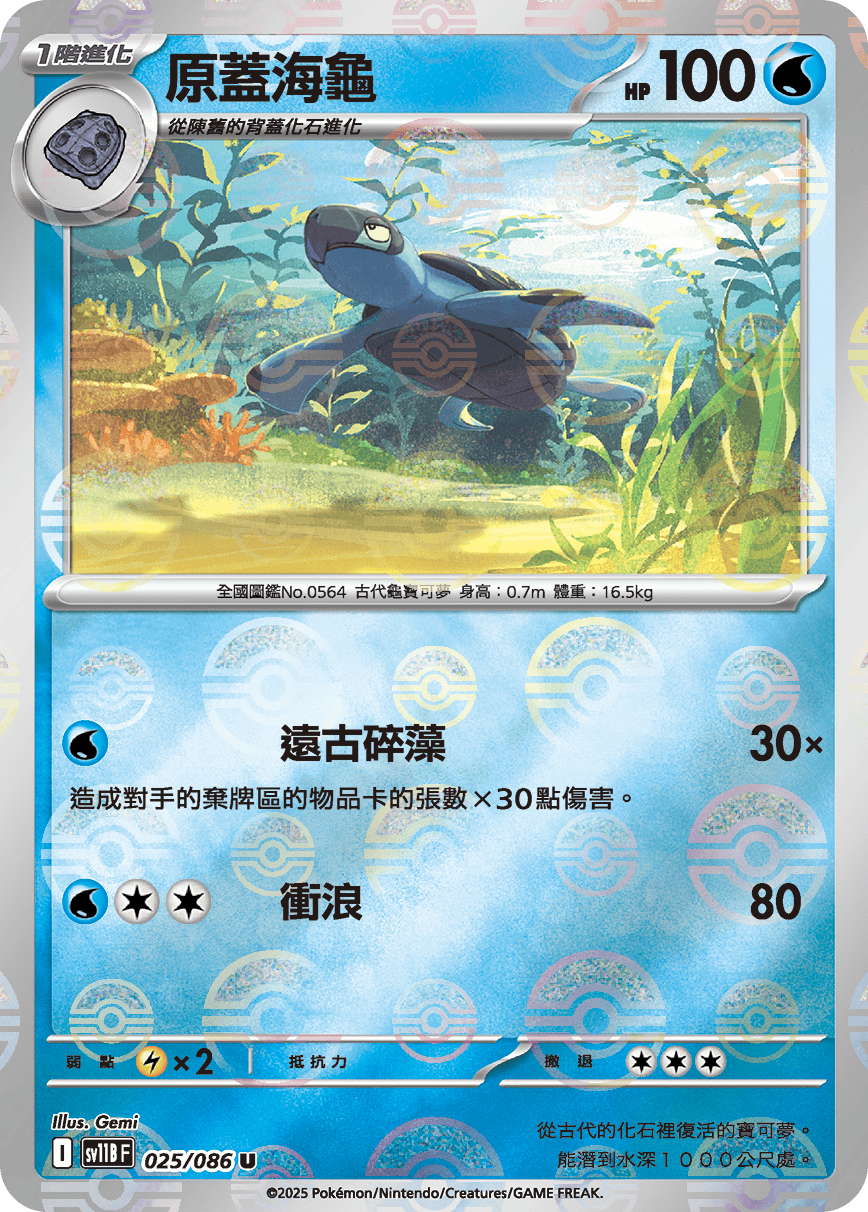 原蓋海龜