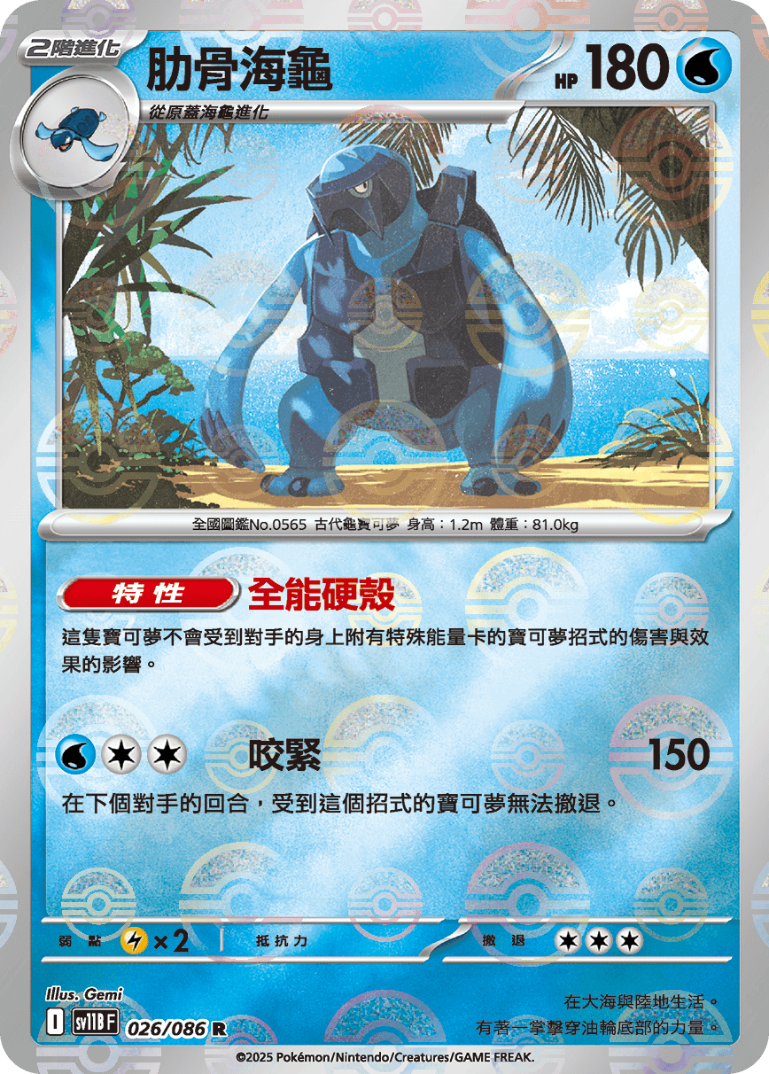 肋骨海龜