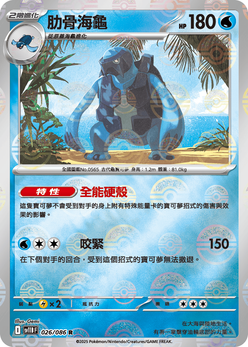 肋骨海龜