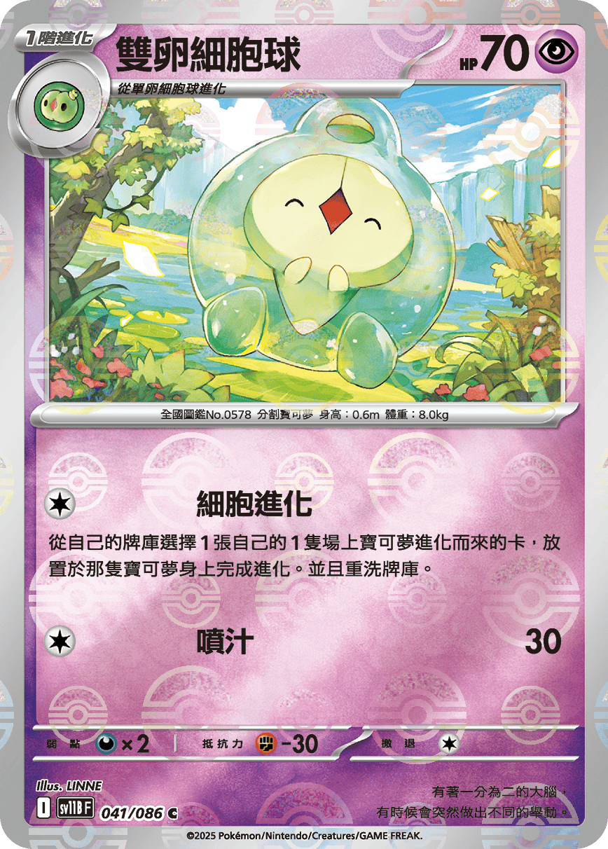 雙卵細胞球