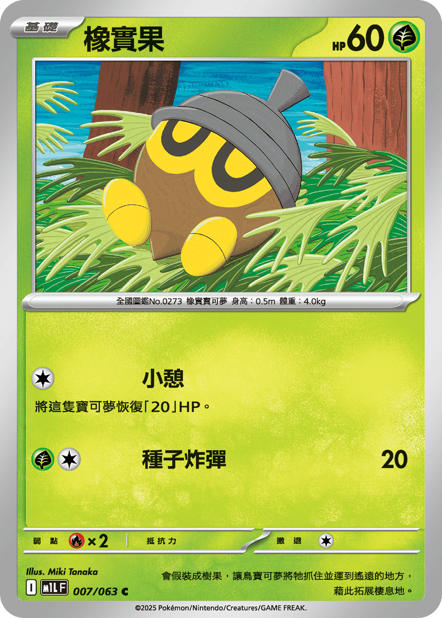 橡實果