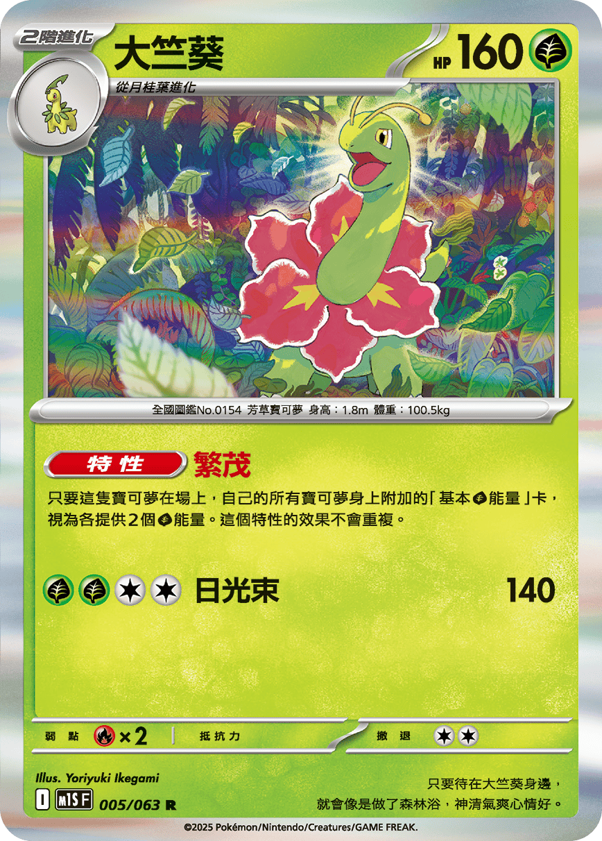 大竺葵