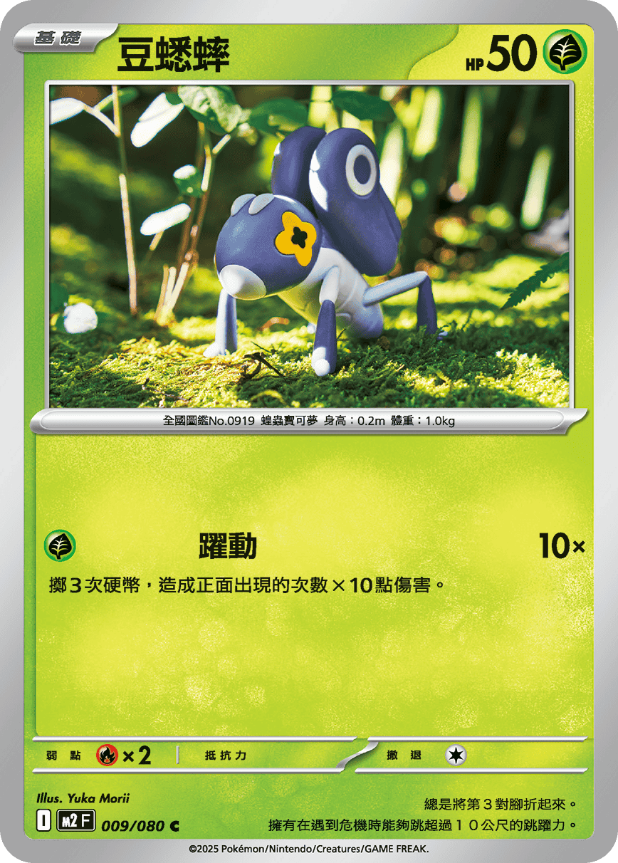 豆蟋蟀