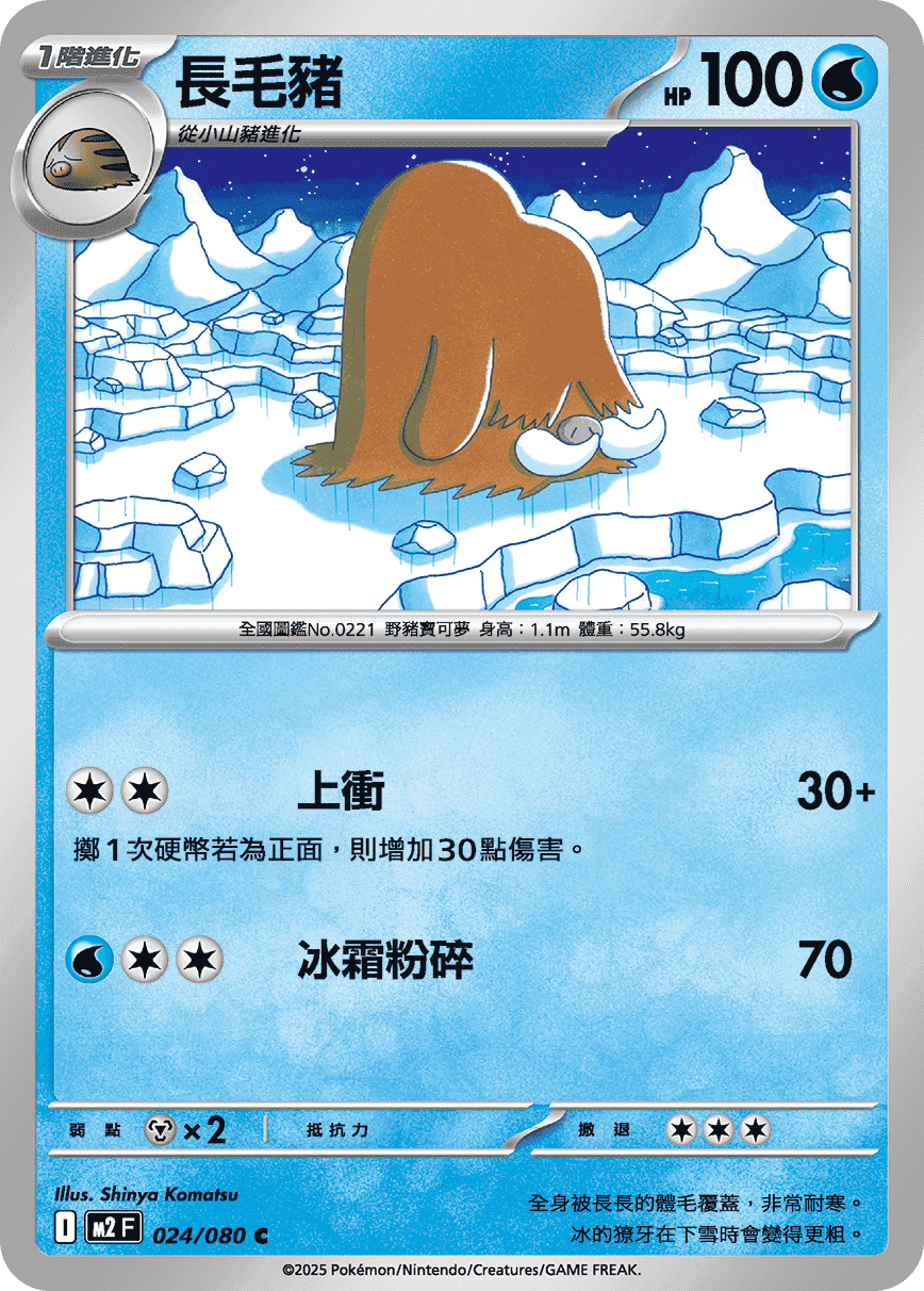 長毛豬
